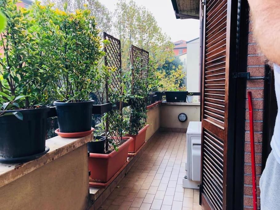 Ketty House B&B - Policlinico Di Monza, U-Power Stadium Esterno foto