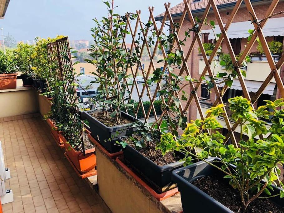 Ketty House B&B - Policlinico Di Monza, U-Power Stadium Esterno foto