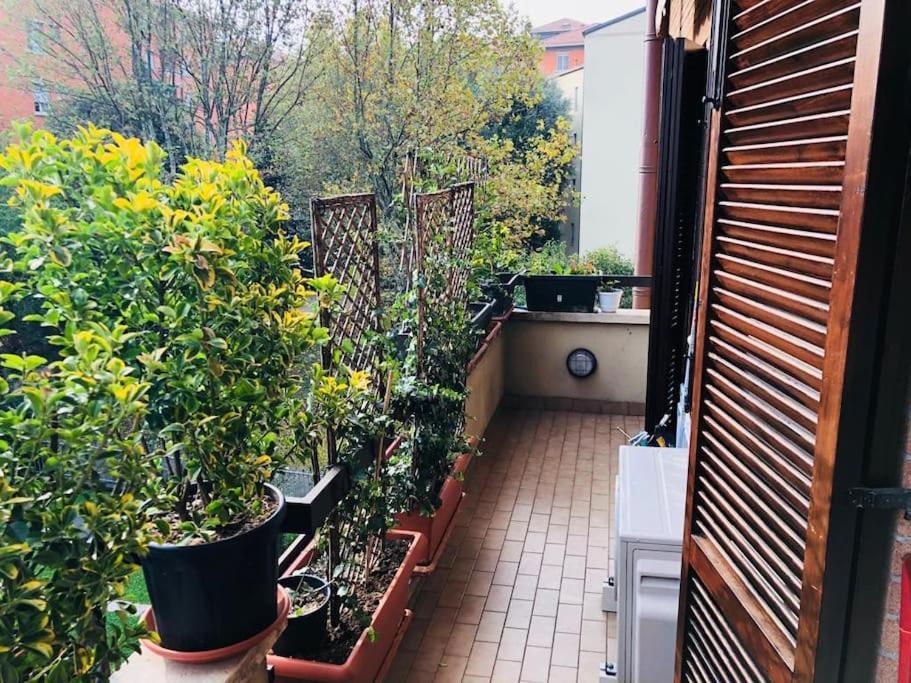 Ketty House B&B - Policlinico Di Monza, U-Power Stadium Esterno foto